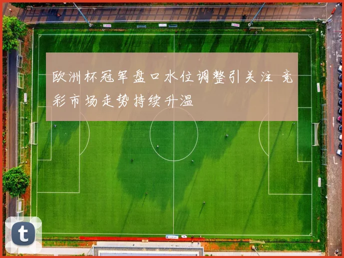 欧洲杯冠军盘口水位调整引关注 竞彩市场走势持续升温