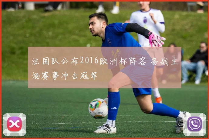 法国队公布2016欧洲杯阵容 备战主场赛事冲击冠军