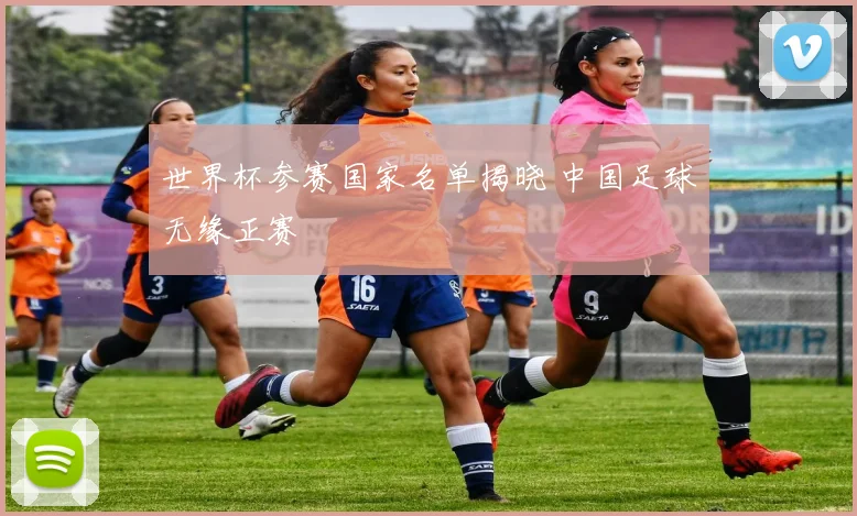 世界杯参赛国家名单揭晓 中国足球无缘正赛