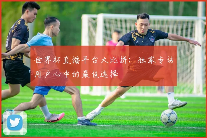 世界杯直播平台大比拼：独家专访用户心中的最佳选择