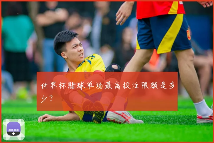 世界杯赌球单场最高投注限额是多少？