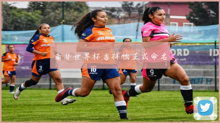 南非世界杯吉祥物正式命名